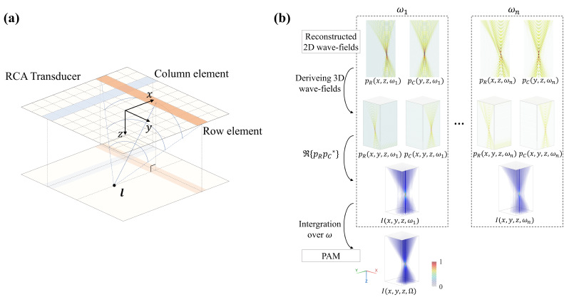 信息学院蔡夕然课题组提出三维高质量实时被动空化成像新方法